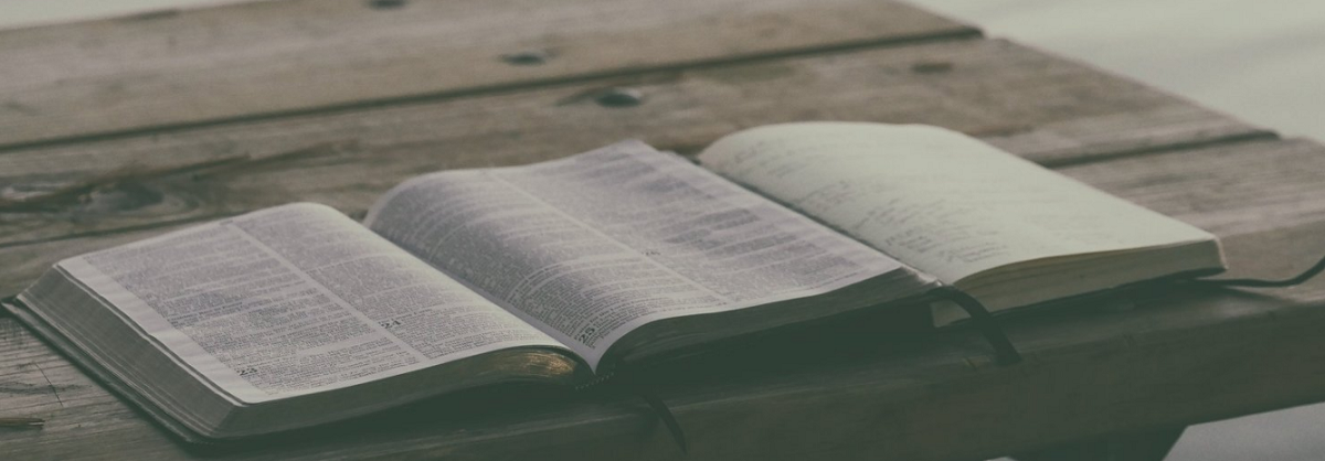 Três dicas para uma melhor leitura da Bíblia